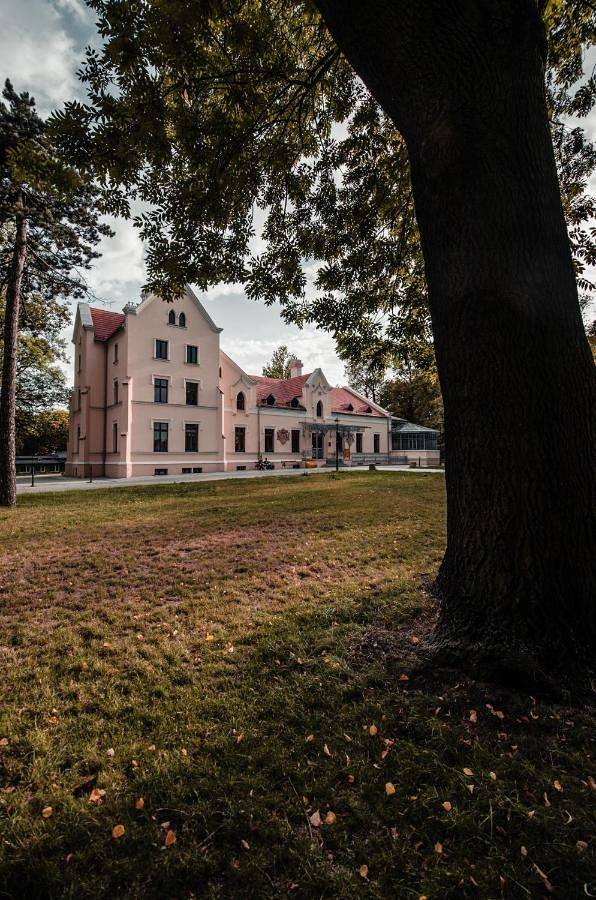 Cały apartament, Apartament Deluxe Arcon in Siemianowice Śląskie, Śląsk