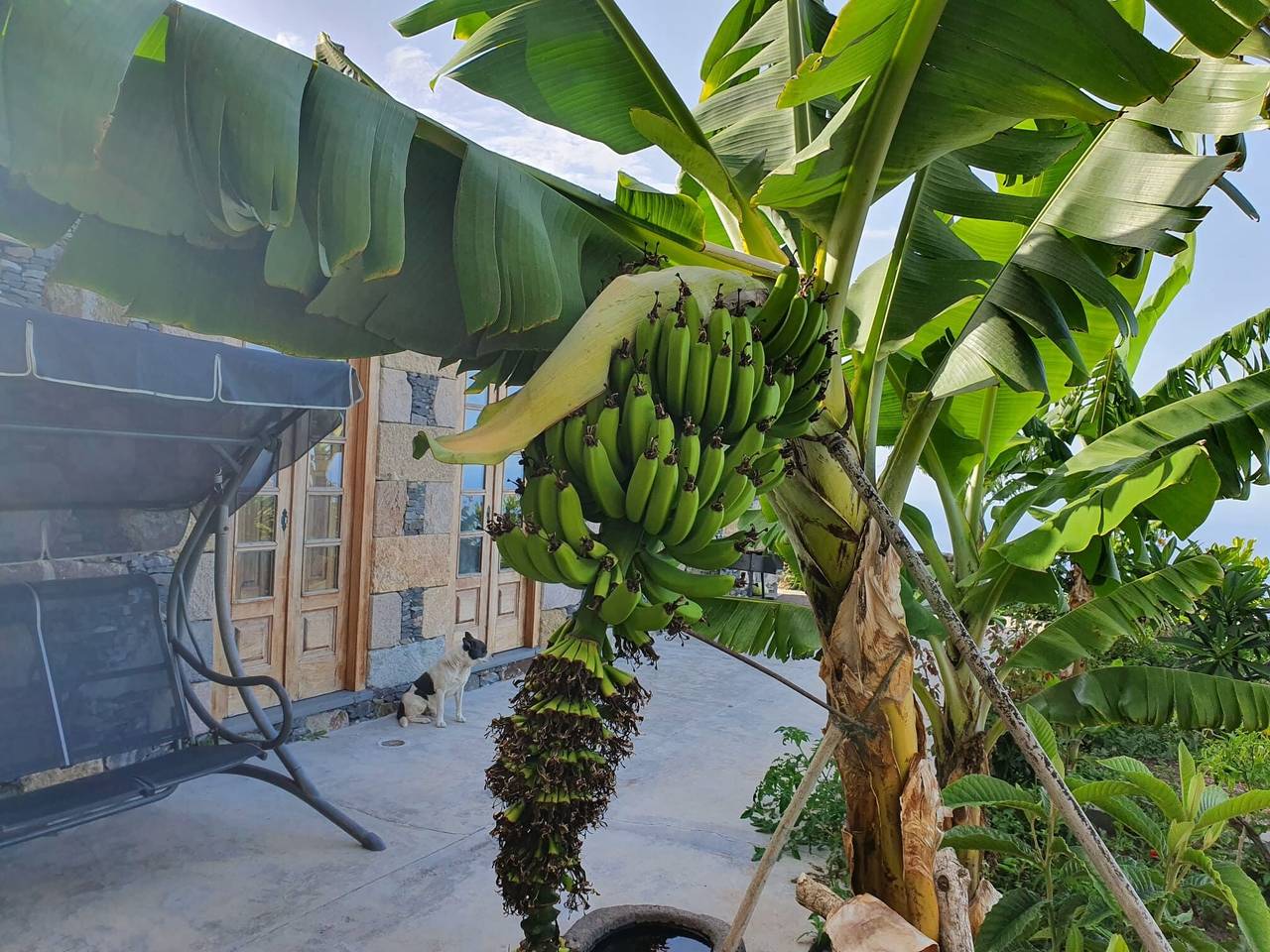 Suite Casa La Hondura – Naturaleza, Silencio y Cielos Estrellados en La Gomera in Alajeró, La Gomera