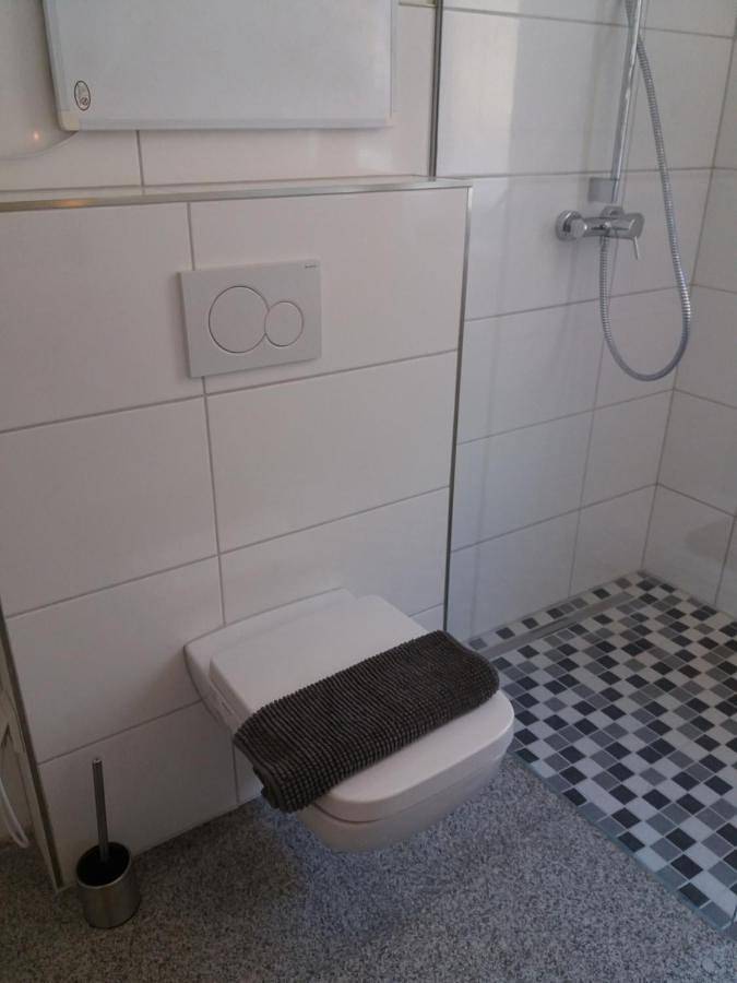 Gîte pour 6 personnes, avec terrasse et vue à Worms (Allemagne) - 4