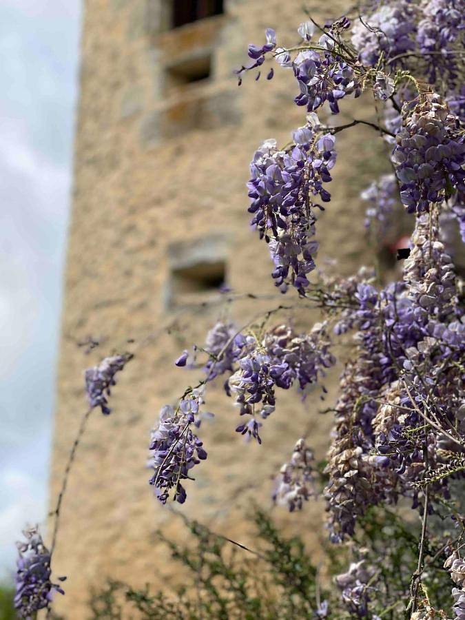 Location de vacances pour 2 personnes, avec vue ainsi que jardin et piscine, animaux acceptés à Saint-Maime-de-Péreyrol - 4