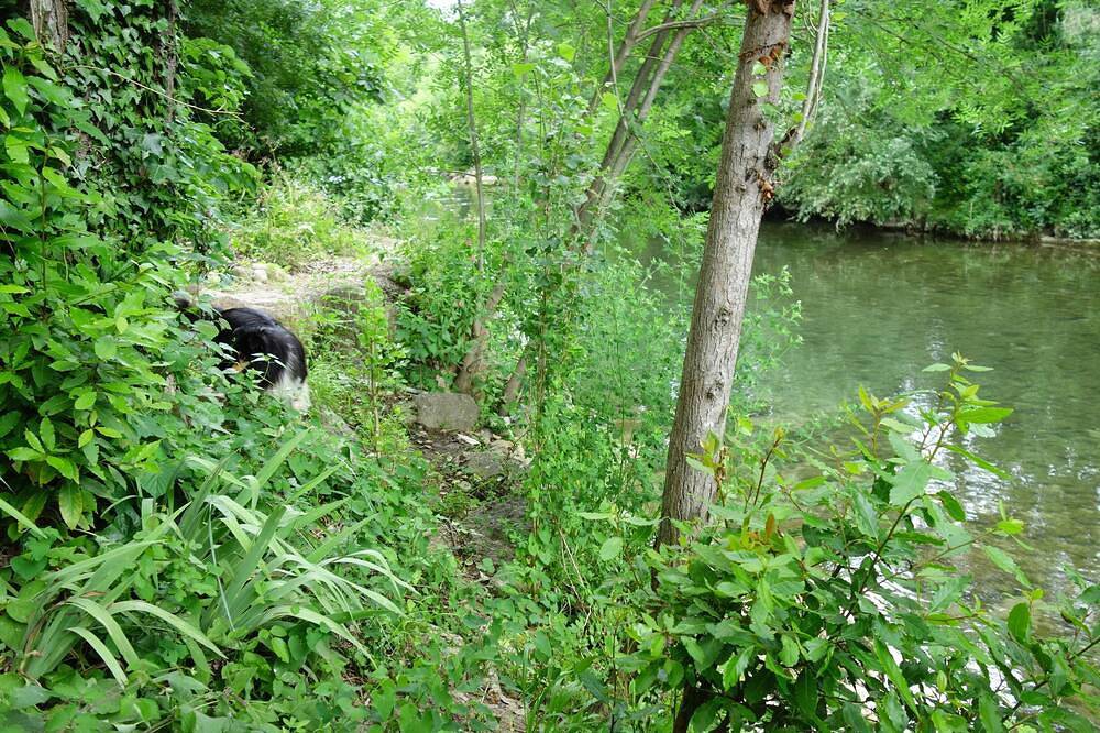 2 charming appartments, a garden and private bank of the river, in the city in Lodève, Lodève und Umgebung