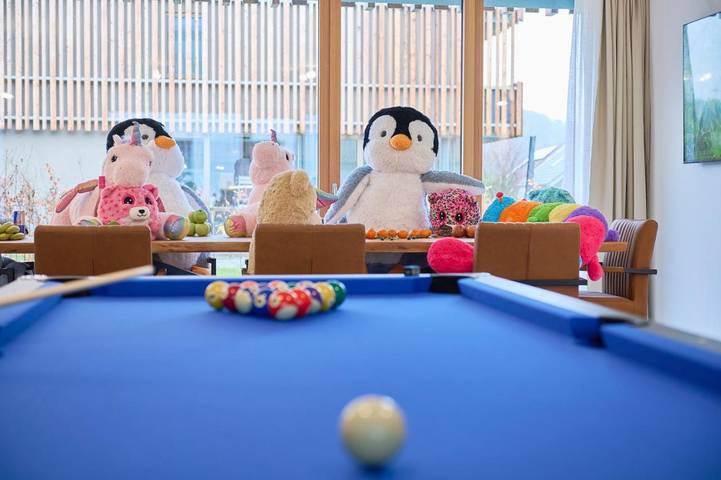 Ferienhaus für 13 Personen, mit Ausblick und Seeblick sowie Garten, kinderfreundlich in Öhningen