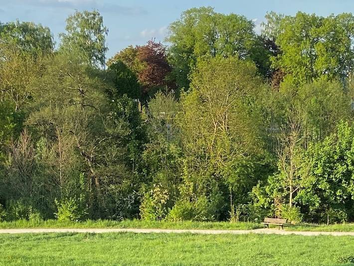 Ganze Wohnung, Ferienwohnung Hofmann-Trier - Ferienwohnung mit Garten in Coburg, Oberes Maintal - Coburger Land