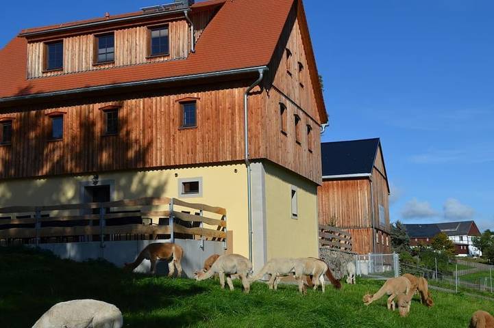 Ferienhaus für 9 Personen, mit Terrasse und Sauna in Frauenstein - 3