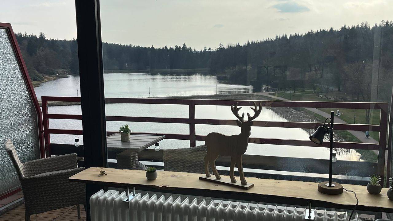 Hel ferielejlighed, Ferienwohnung für 3 Personen (33 m²) in Goslar-Hahnenklee in Hahnenklee, Goslar