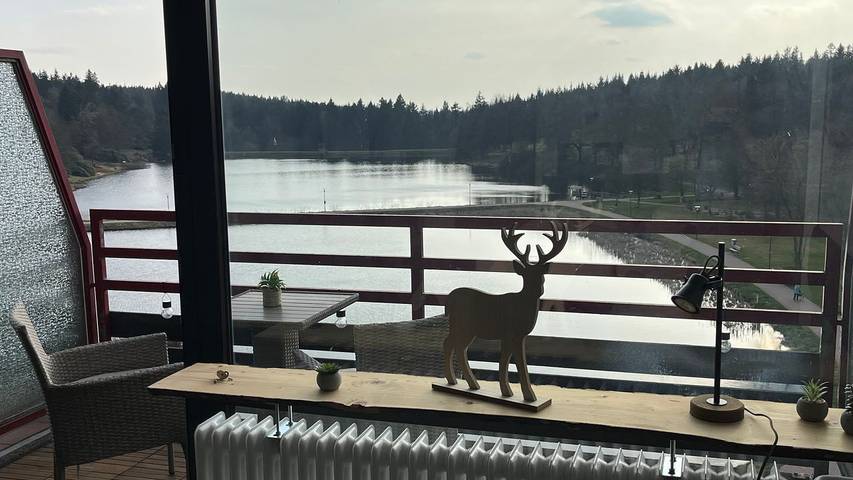 Ferienwohnung für 3 Personen, mit Balkon in Goslar - 4