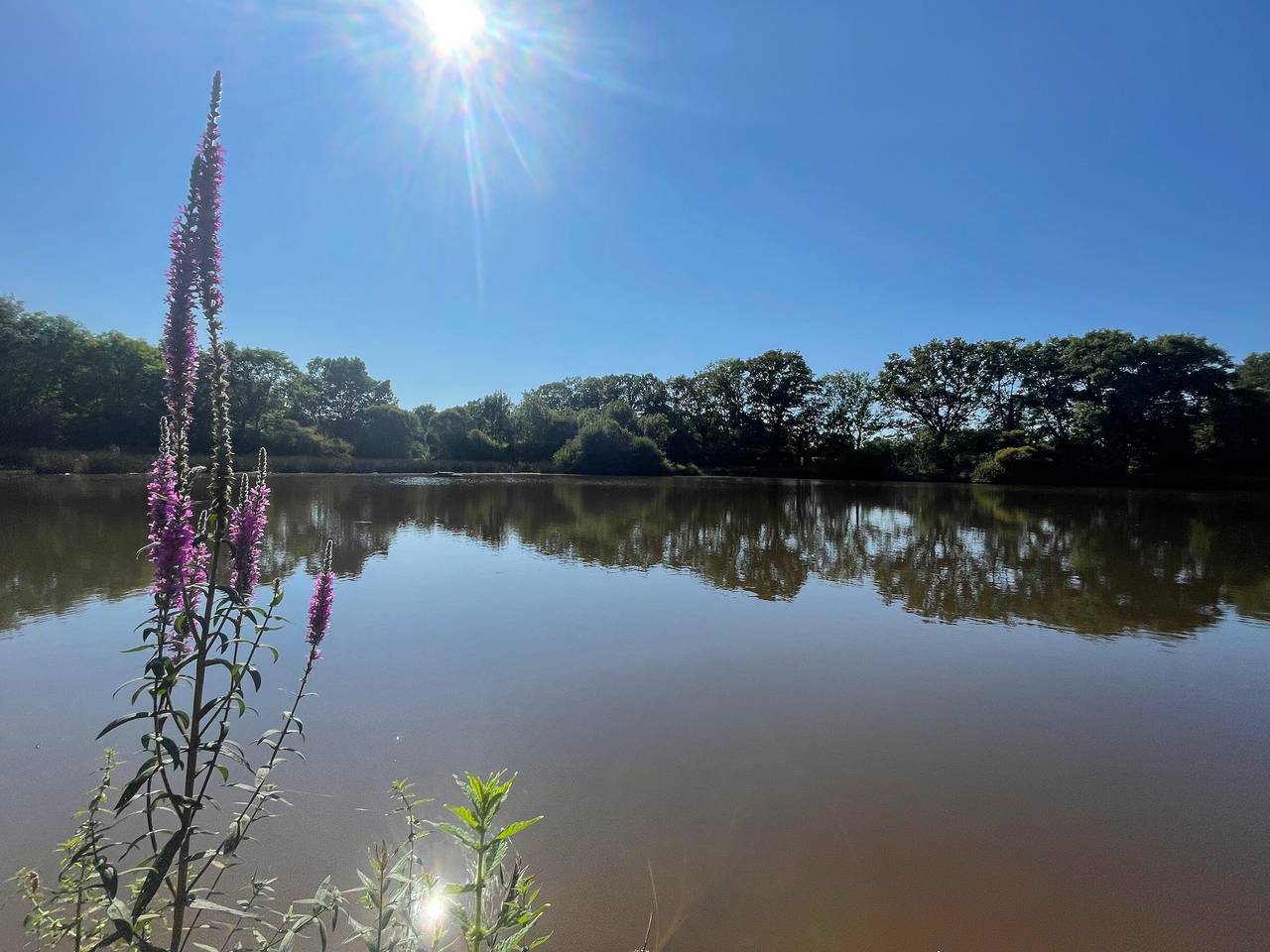 Charmante fermette avec jardin clos près du lac d'Eguzon in Gournay, Région de La Châtre
