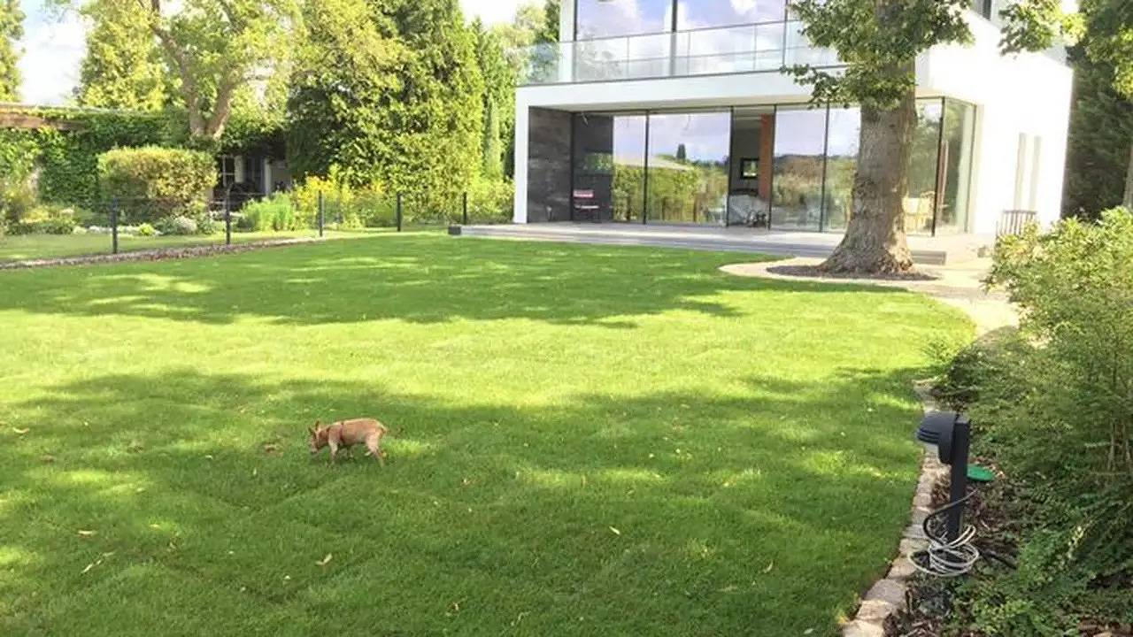 Ferienhaus für 6 Personen (200 m²) in Köpenick in Treptow - Köpenick, Berlin