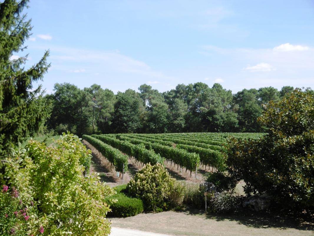 La Tour du Manoir in Betbezer-d'Armagnac, Landes