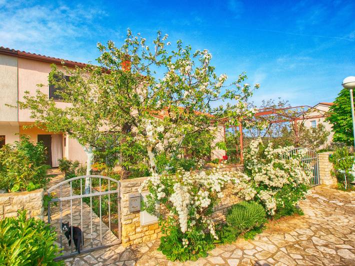 Ferienwohnung für 4 Personen, mit Terrasse in Banjole - 2