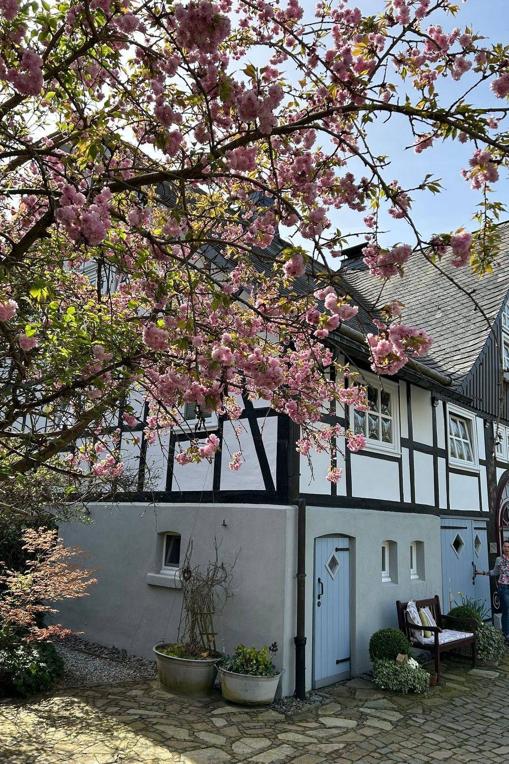 Ganze Wohnung, Fachwerkliebe in Bruchhausen (Olsberg), Olsberg