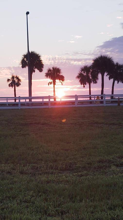 Ferienwohnung für 2 Personen, mit Ausblick, mit Haustier in Daytona Beach