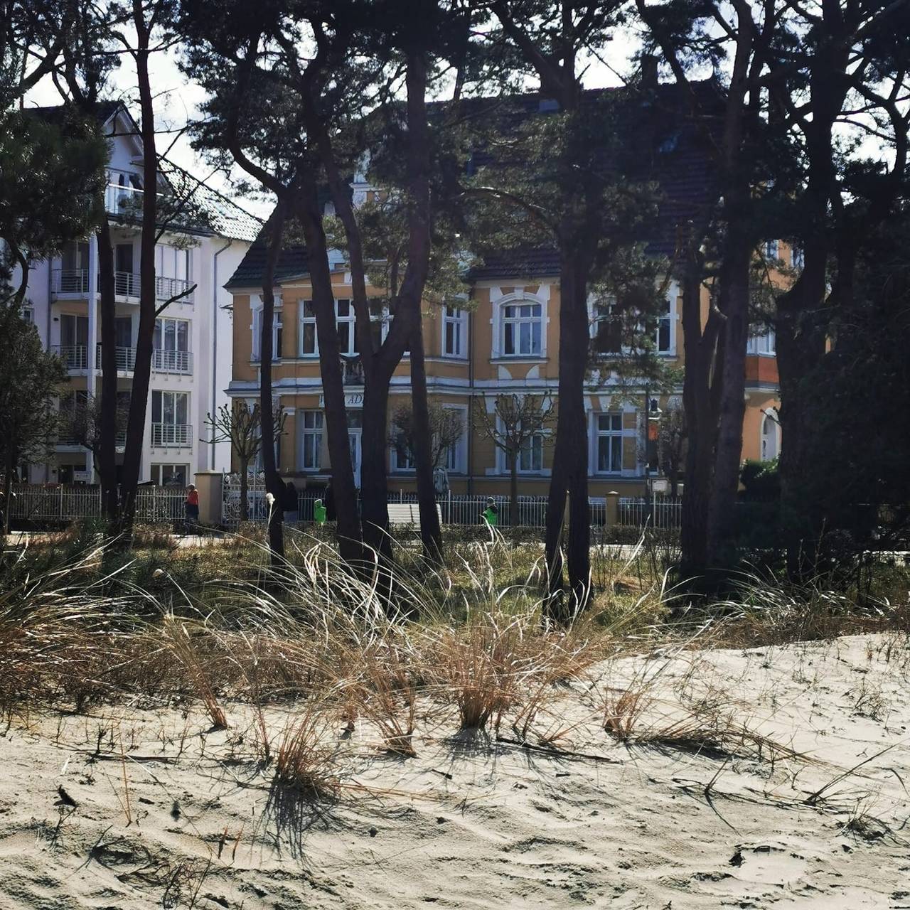 Ganze Wohnung, Ferienwohnung "Villa Adler - Seeblick" mit Blick auf den See in Drei Kaiserbäder, Heringsdorf