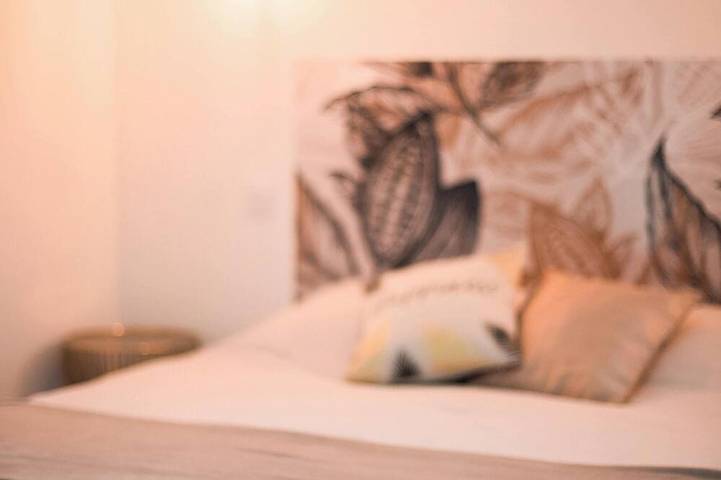 Location de vacances pour 12 personnes, avec jardin à Dollon - 4