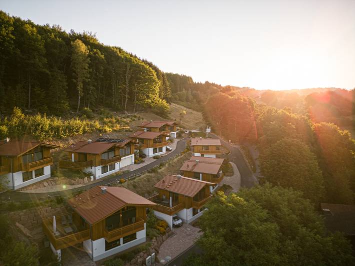 Ferienhaus für 4 Personen, mit Sauna und Balkon sowie Ausblick in Rhein Main Gebiet