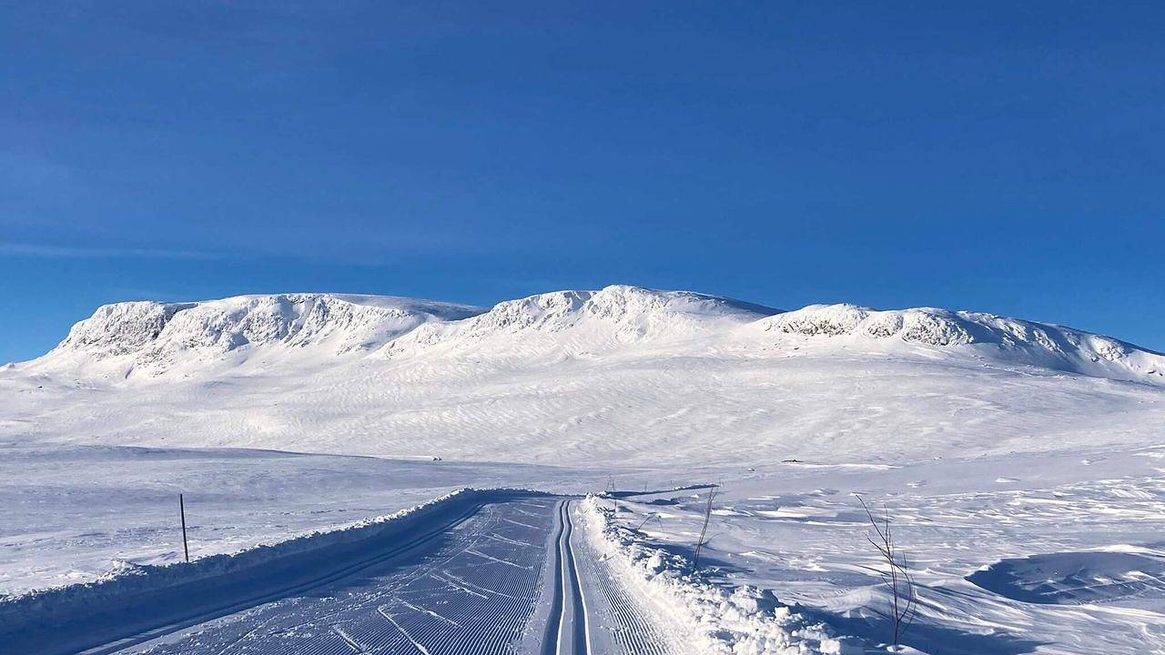 Hel ferielejlighed, Ferienwohnung für 4 Personen (36 m²) in Geilo in Geilo, Hol