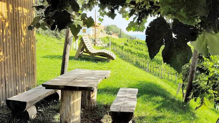 Ferienwohnung für 4 Personen, mit Garten in der Oststeiermark - 2