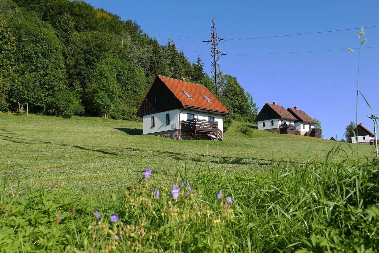 Apartment - Main Building in Stárkov, Region Nachod