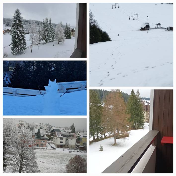 Ganze Wohnung, Apartment 'Quality Time auf 1000 Metern' mit Parkblick, Balkon und Wlan in Schönwald im Schwarzwald, Südschwarzwald