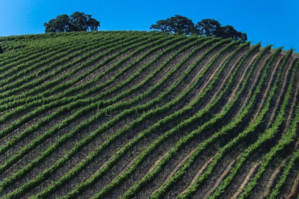 Lovely Beachfront Haus verfügt über atemberaubenden Blick auf den Ozean und privaten Hof! in Cayucos, San Luis Obispo County