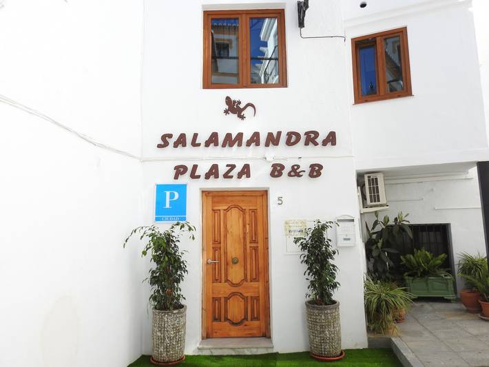 Bed and Breakfast 'El Cisne' with Sea View, Wi-Fi and Air Conditioning in Cómpeta, Málaga Province