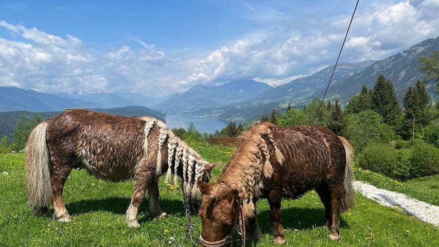 Ferienwohnung für 4 Personen, mit Garten am Millstätter See - 2