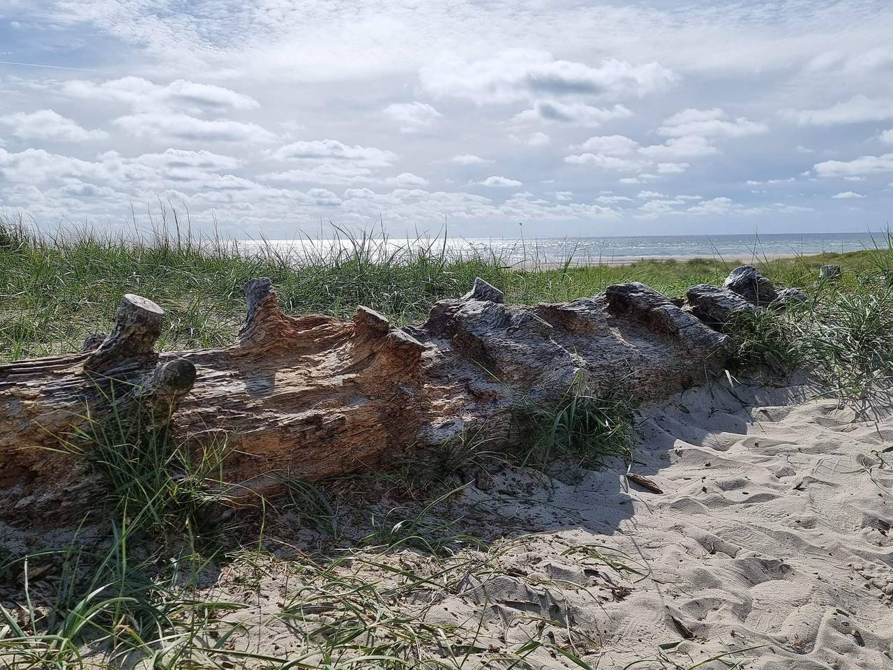 Strandparadies in Blavand in Blavand, Varde