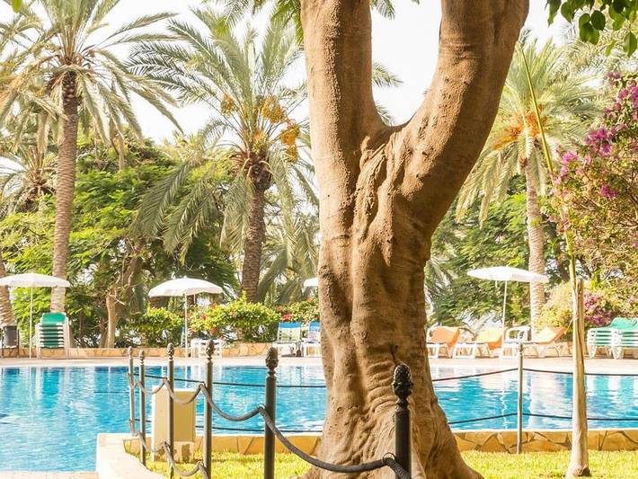 Camping für 4 Personen auf den Kanaren