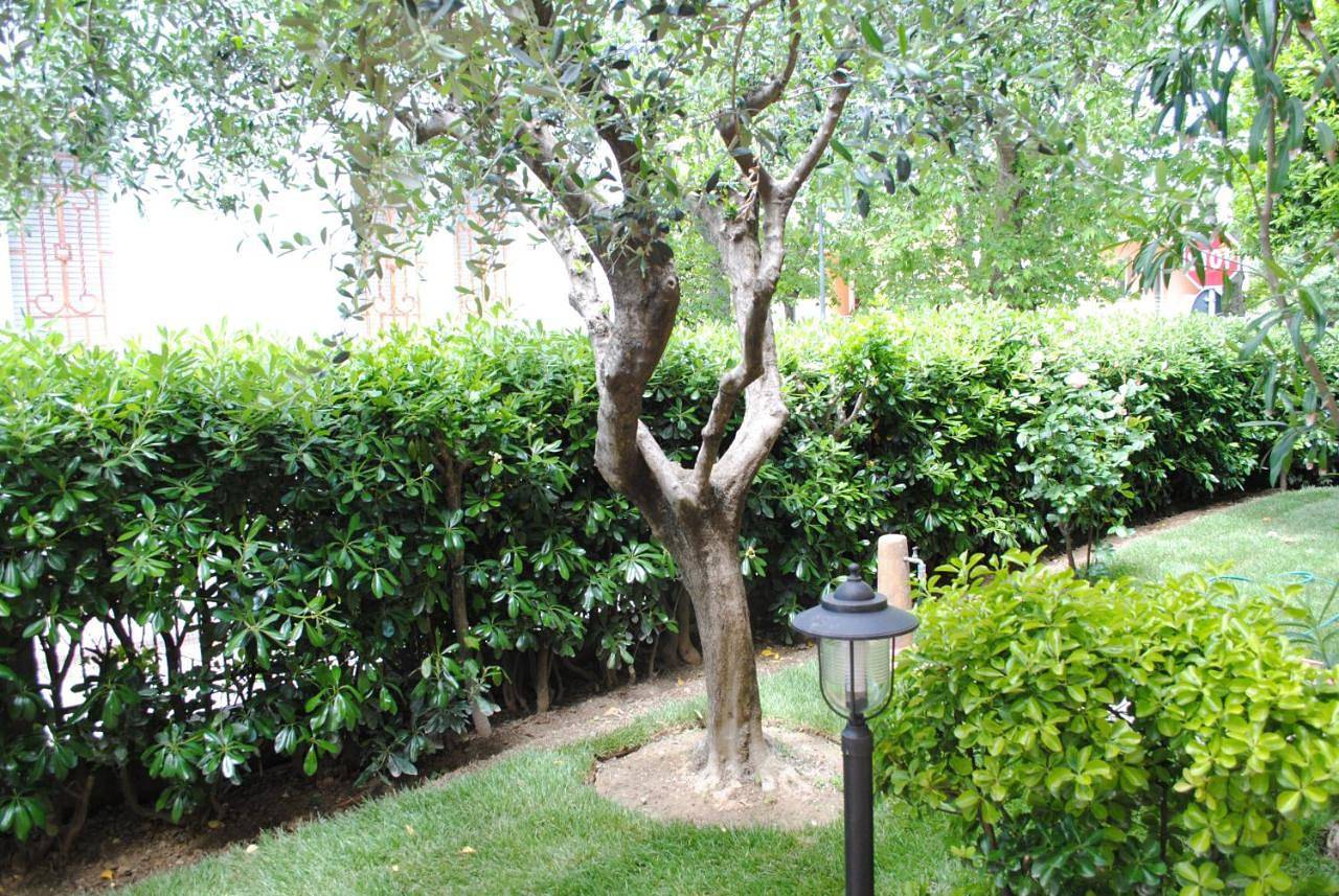 B&B La Gatta Blu in Cattolica, Province de Rimini