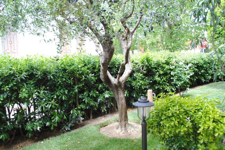 Chambre d’hôte pour 2 personnes, avec jacuzzi et jardin dans Émilie-Romagne - 4