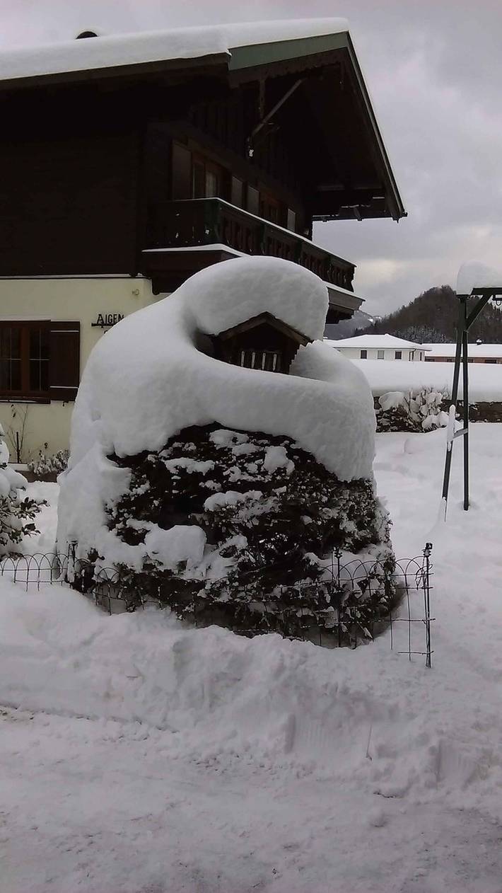 Ferienhaus für 5 Personen, mit Balkon und Garten am Wolfgangsee - 2