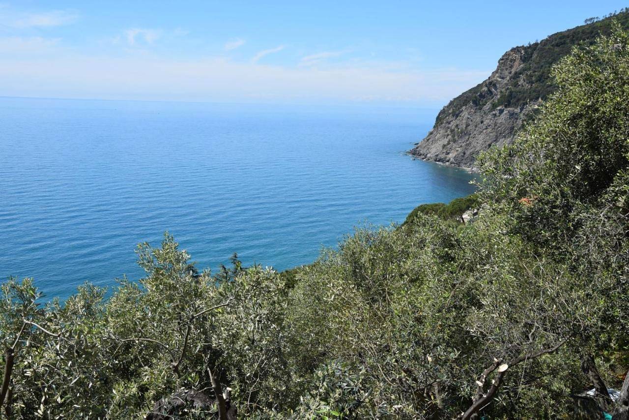 Ganze Wohnung, Corner of Paradise near Cinque Terre in Anzo-Setta, Framura