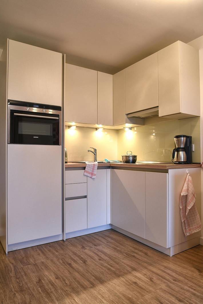 Ganze Ferienwohnung, Stadtwohnung 9 in Nordfriesische Inseln (Schleswig-Holstein) (Schleswig-Holstein), Wyk auf Föhr