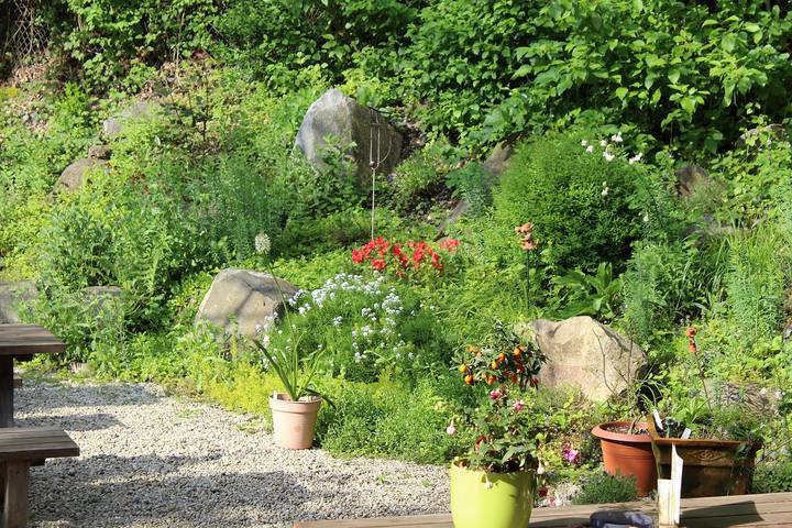 Pension pour 4 personnes, avec jardin à Passau - 3