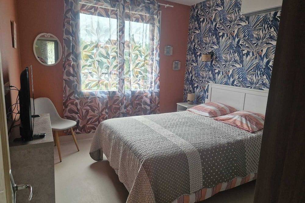Comfortable gîte with spa and billiards near Beauval zoo in Saint-Aignan, Romorantin-Lanthenay region