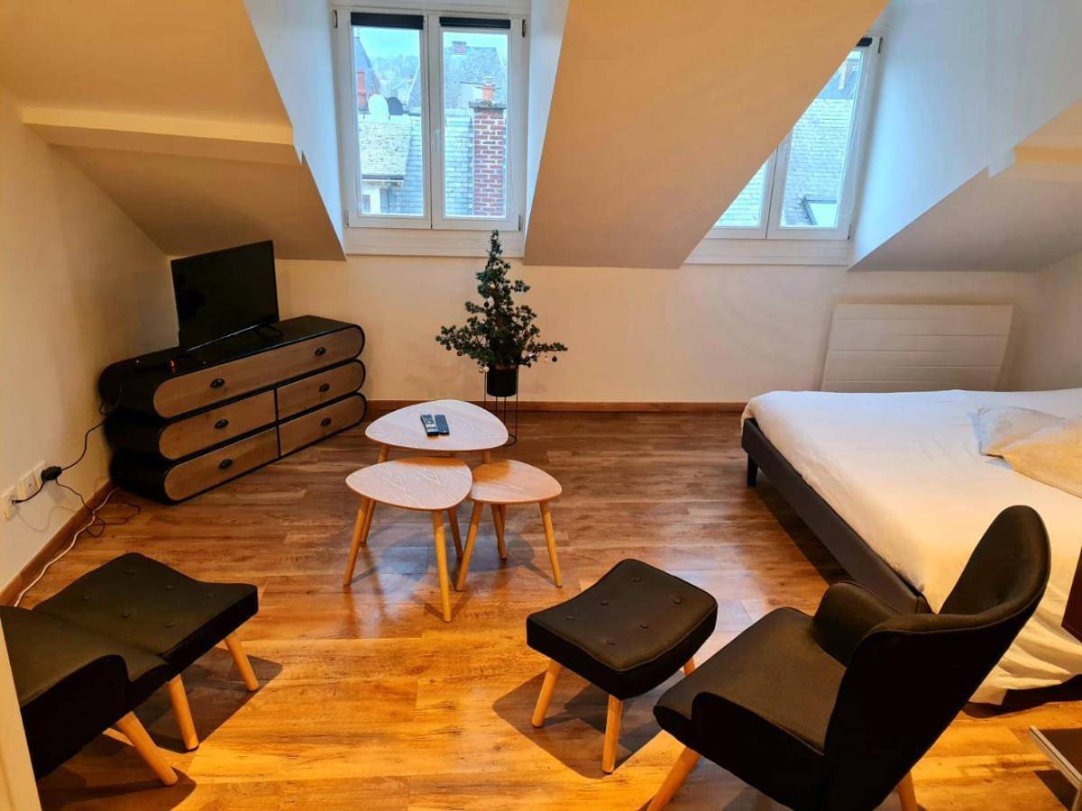 Appartement entier, One-Bedroom Apartment in Charleville-Mézières, Ardennes