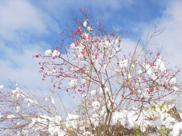 Ferienwohnung für 6 Personen, mit Balkon, kinderfreundlich in Schoppernau - 2