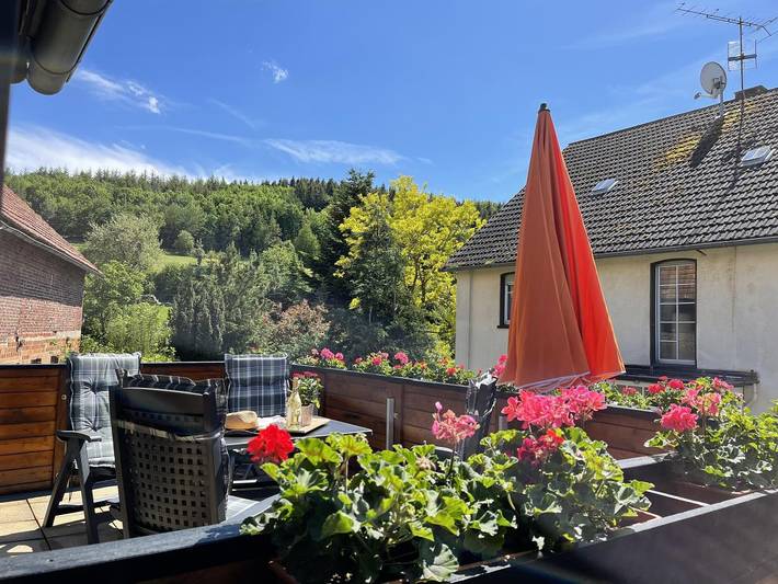 Ferienhaus für 5 Personen, mit Balkon und Terrasse in Diemelsee