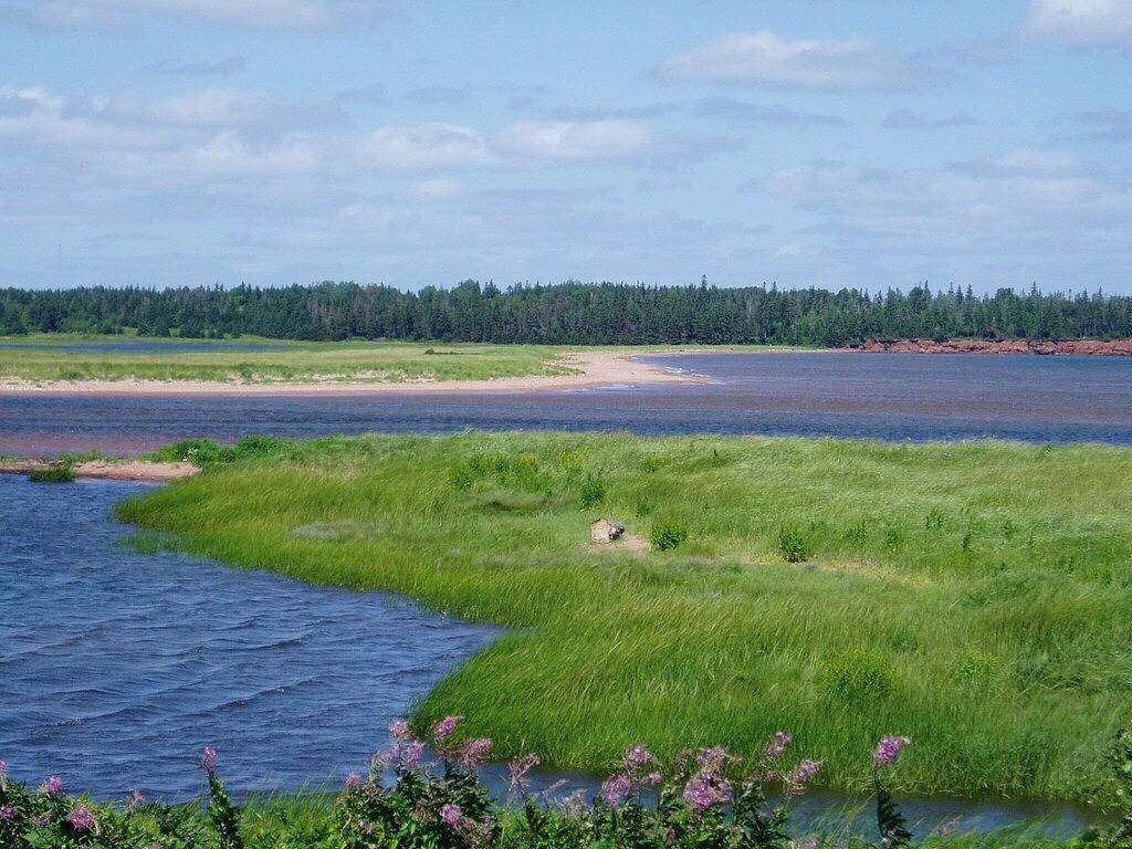 Gemütliches, privates Cottage am Meer mit spektakulärer Aussicht in Fortune Pei in Kings County (Kanada)