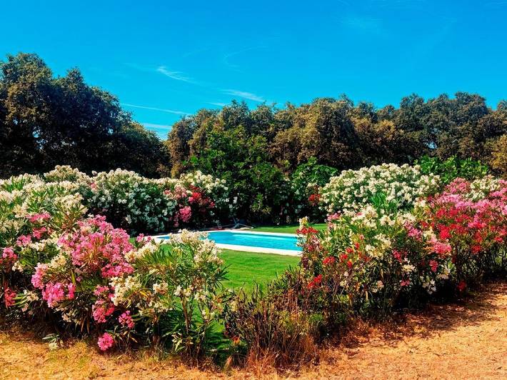 Casa rural para 8 personas, con jardín además de vistas y piscina en Valle del Guadiato - 2