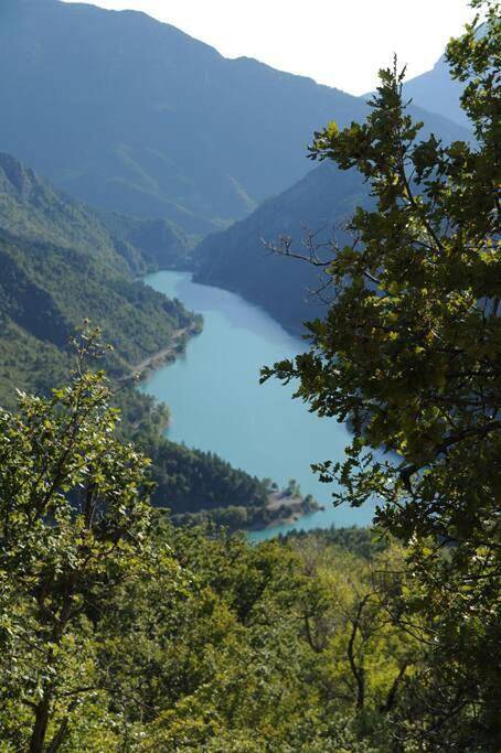 Comps sur Artuby, le tilleul et le four, Jabron in Comps-sur-Artuby, Parc naturel régional du Verdon
