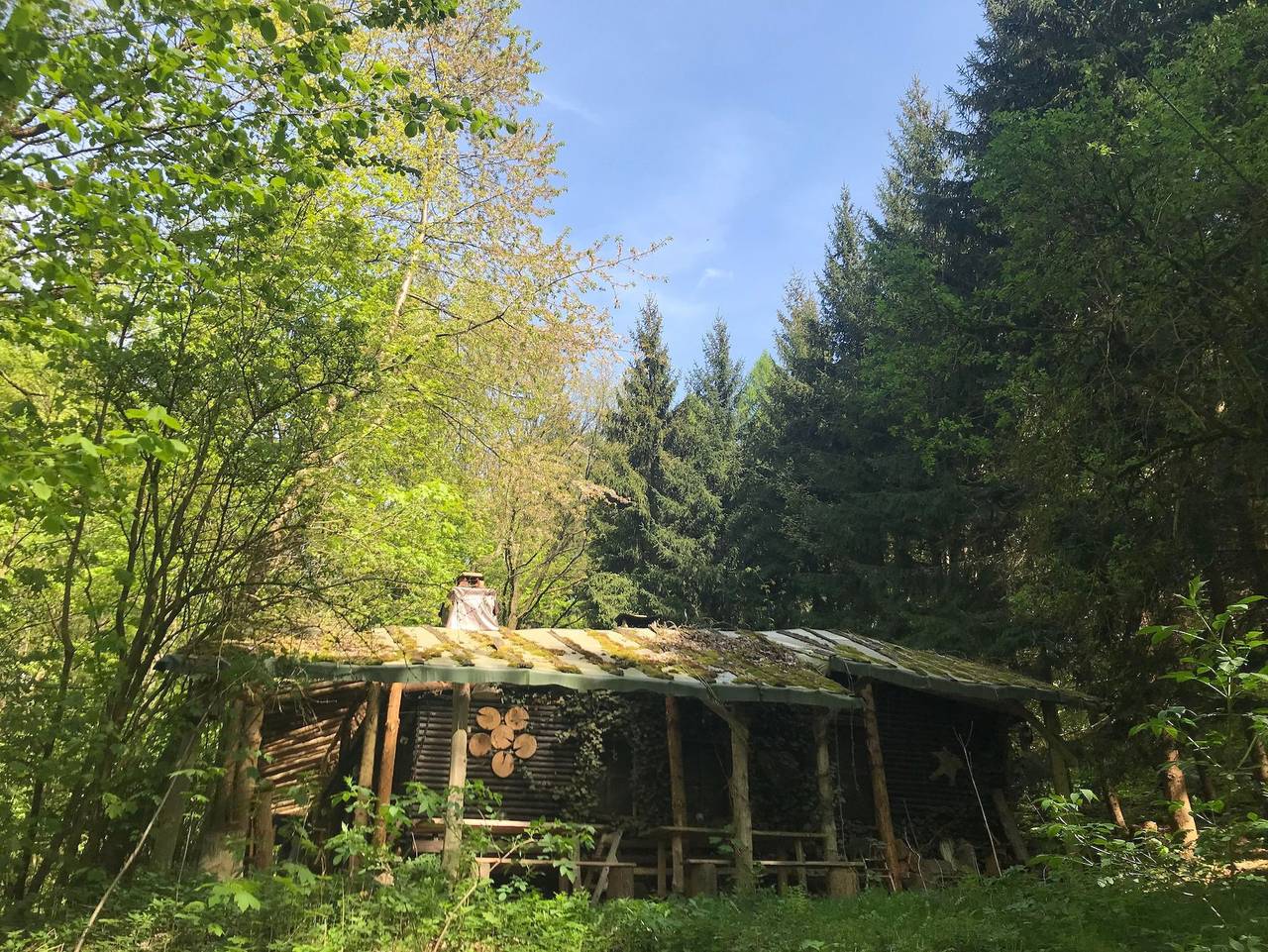 Ganze Ferienwohnung, Ferienhaus Das wilde Auwaldhaus in Bertsdorf-Hörnitz, Zittauer Gebirge
