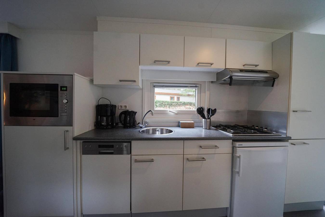 Europarcs Beekbergen — Unique 4 in Beekbergen, Veluwe