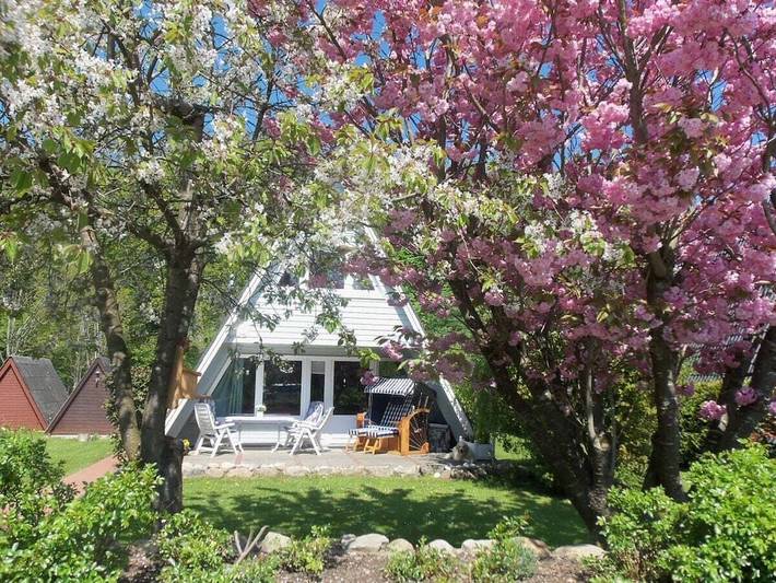 Ferienhaus für 5 Personen, mit Garten, mit Haustier in Damp - 3