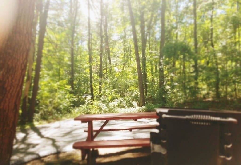 Die Goldadlerhütte 15 in Adirondack Mountains