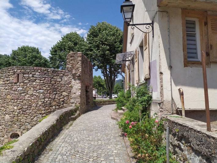 Gîte pour 10 personnes, avec vue à Kaysersberg - 4