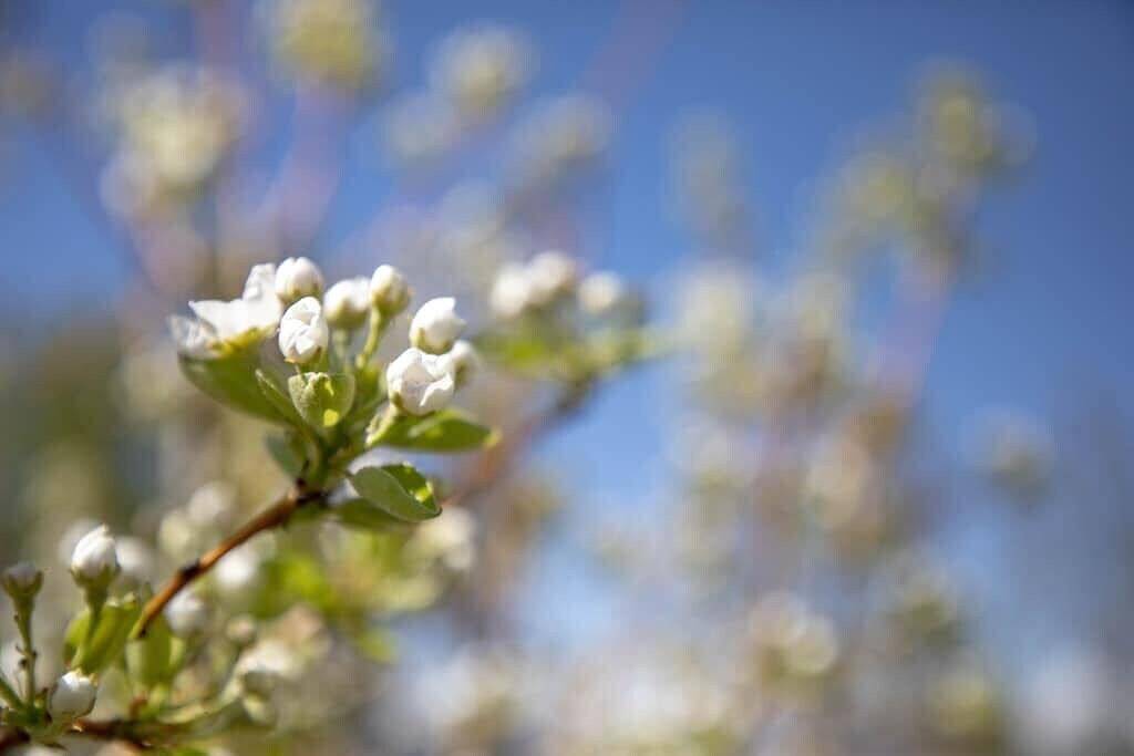 Historic Southern Utah Cottage- 20 miles to Zion National Park in La Verkin, Zion Nationalpark