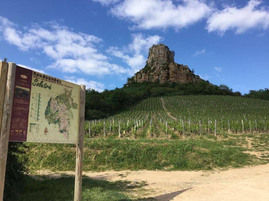 Maison 8pers en Bourgogne climatisée in Mâcon, Mâcon und Umgebung
