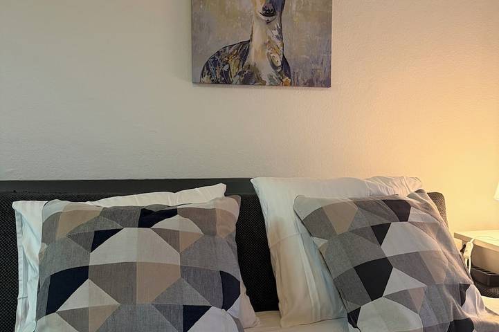 Ferienwohnung für 4 Personen, mit Haustier in Zürich