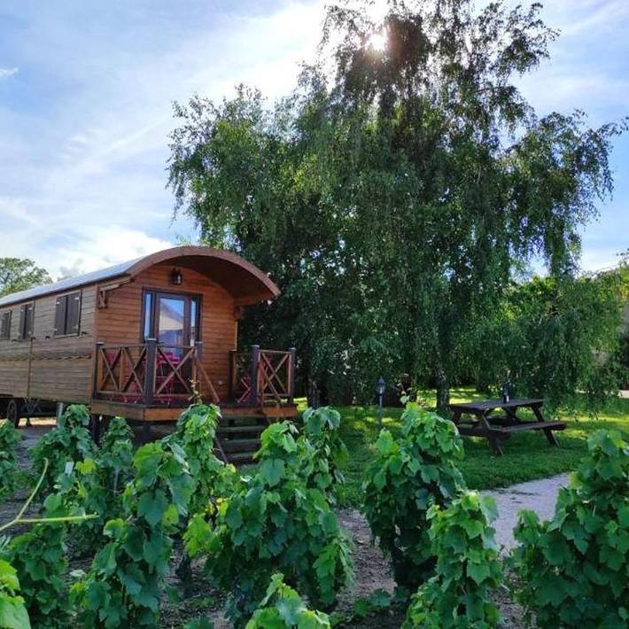 Maison de campagne pour 4 personnes, avec vue et jardin à Chiroubles - 3
